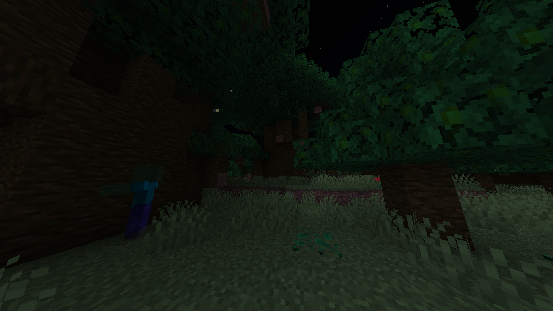 New baobab forest biome