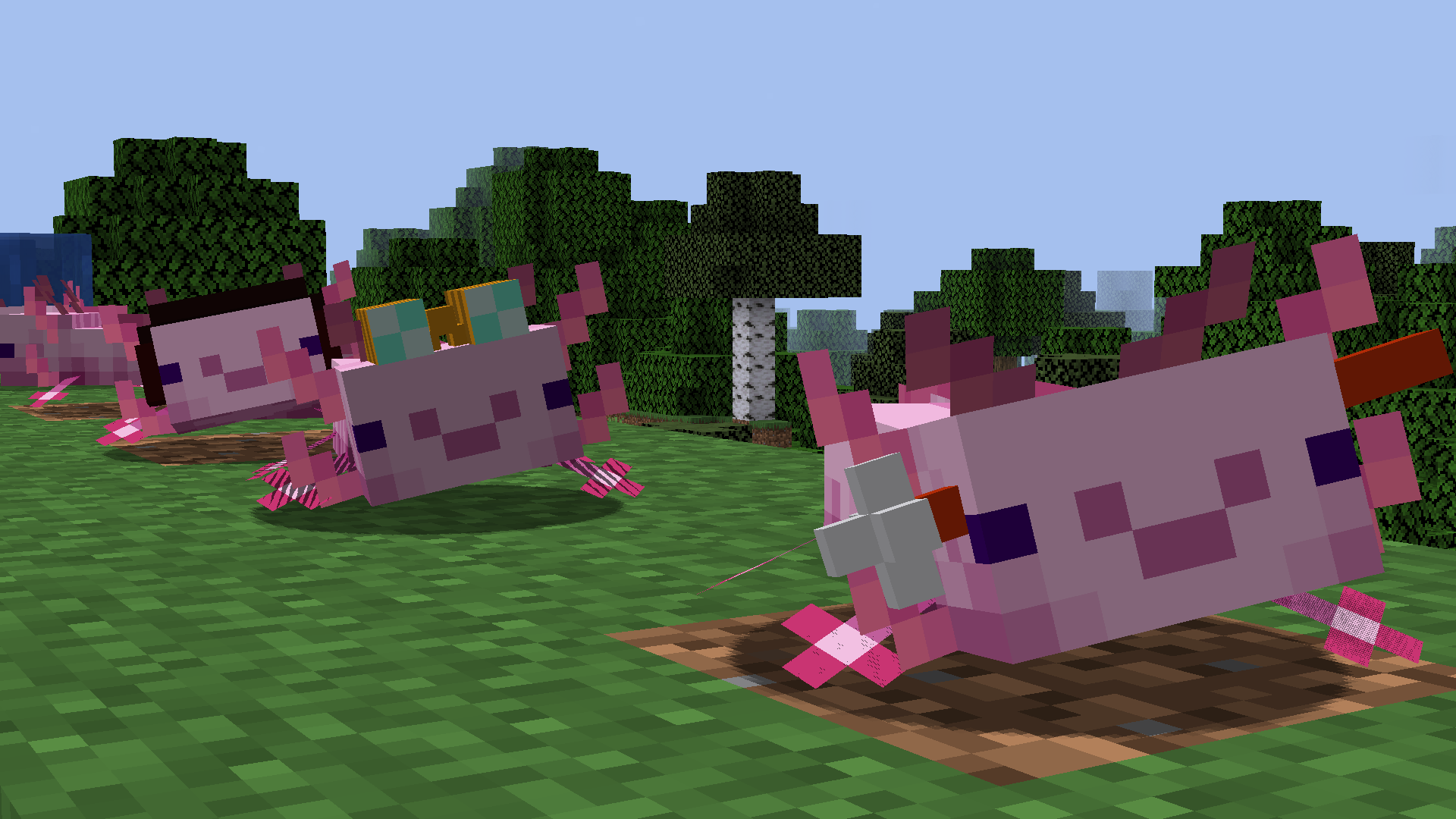 Axolotls With Hats Vanillabarebones Version Screenshots Minecraft Resource Packs Curseforge