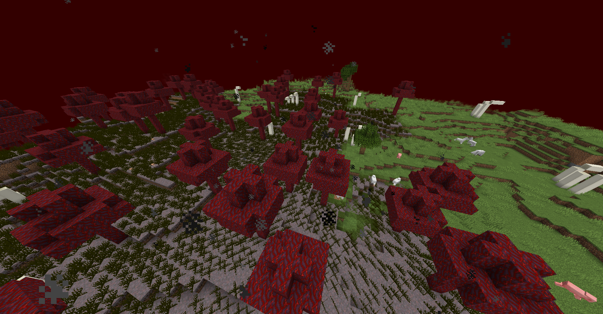 New Biome