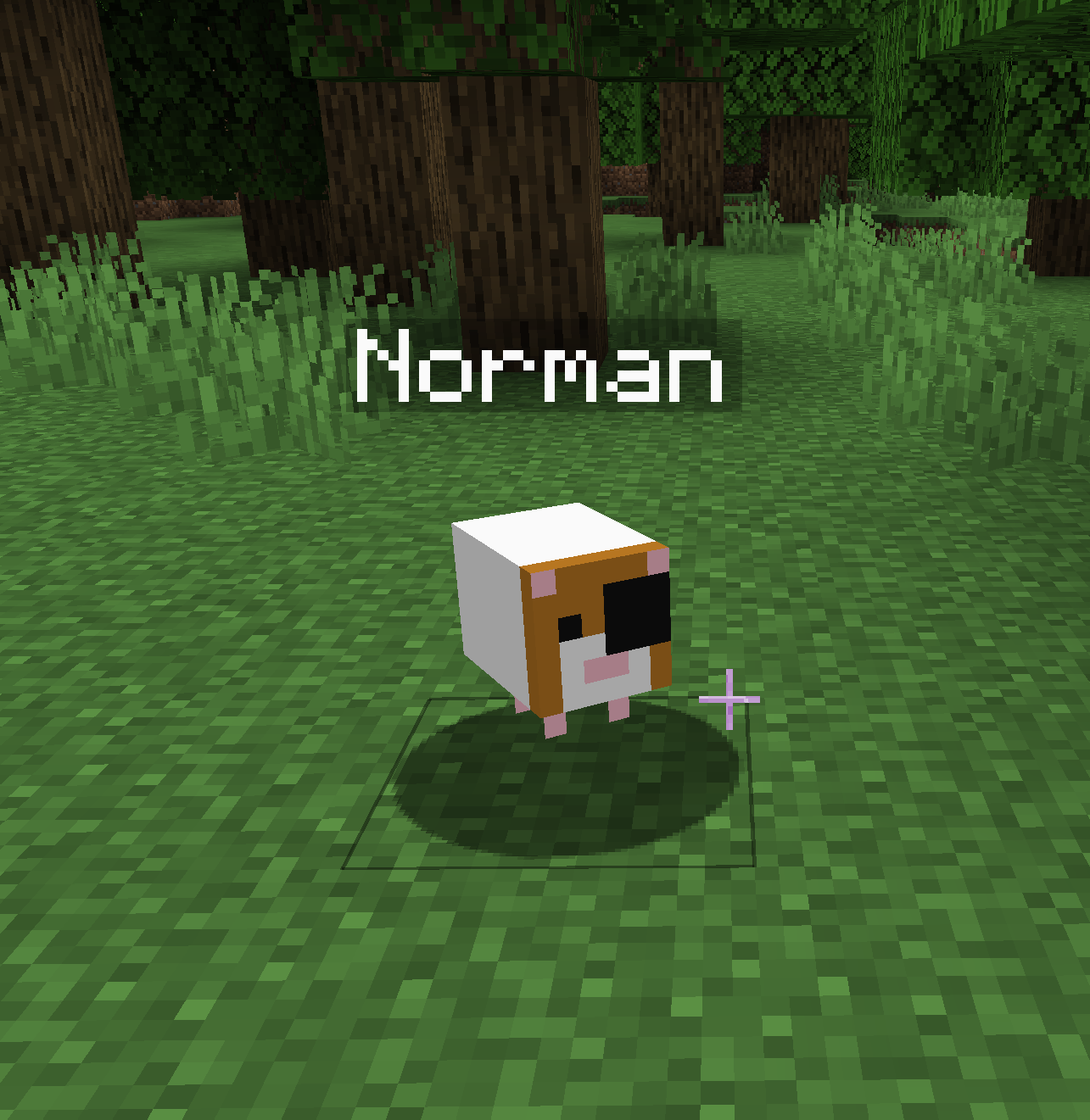 Norman (in Minecraft)