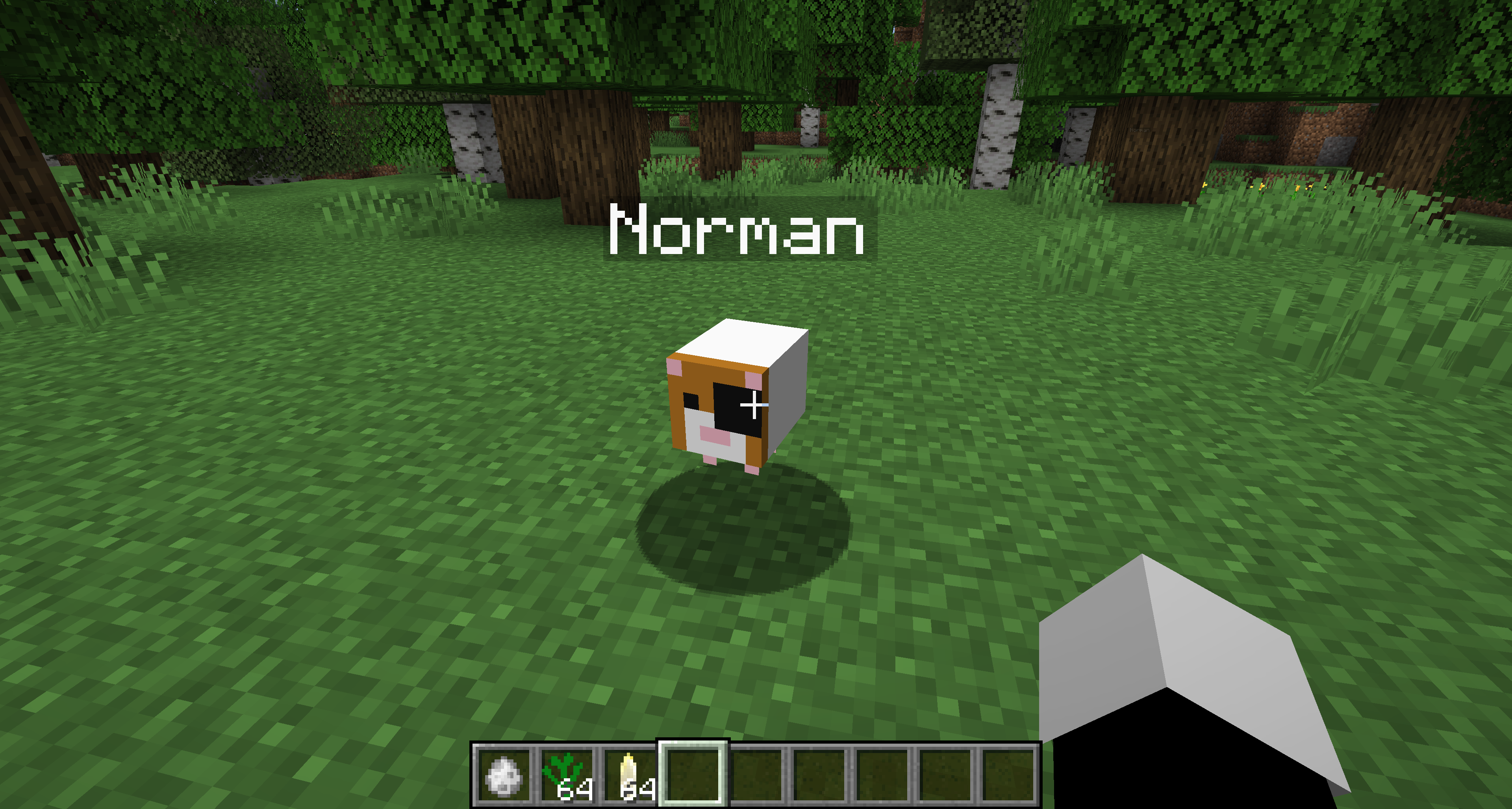 Norman bounce