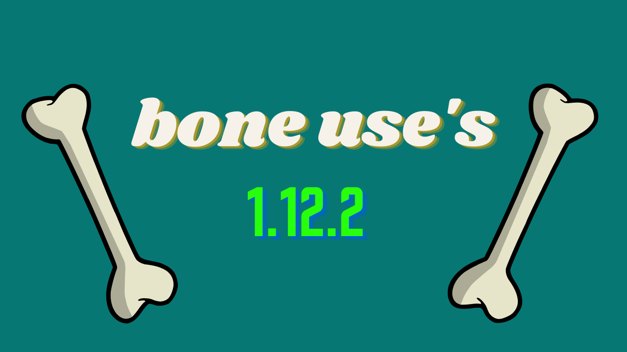 bone uses