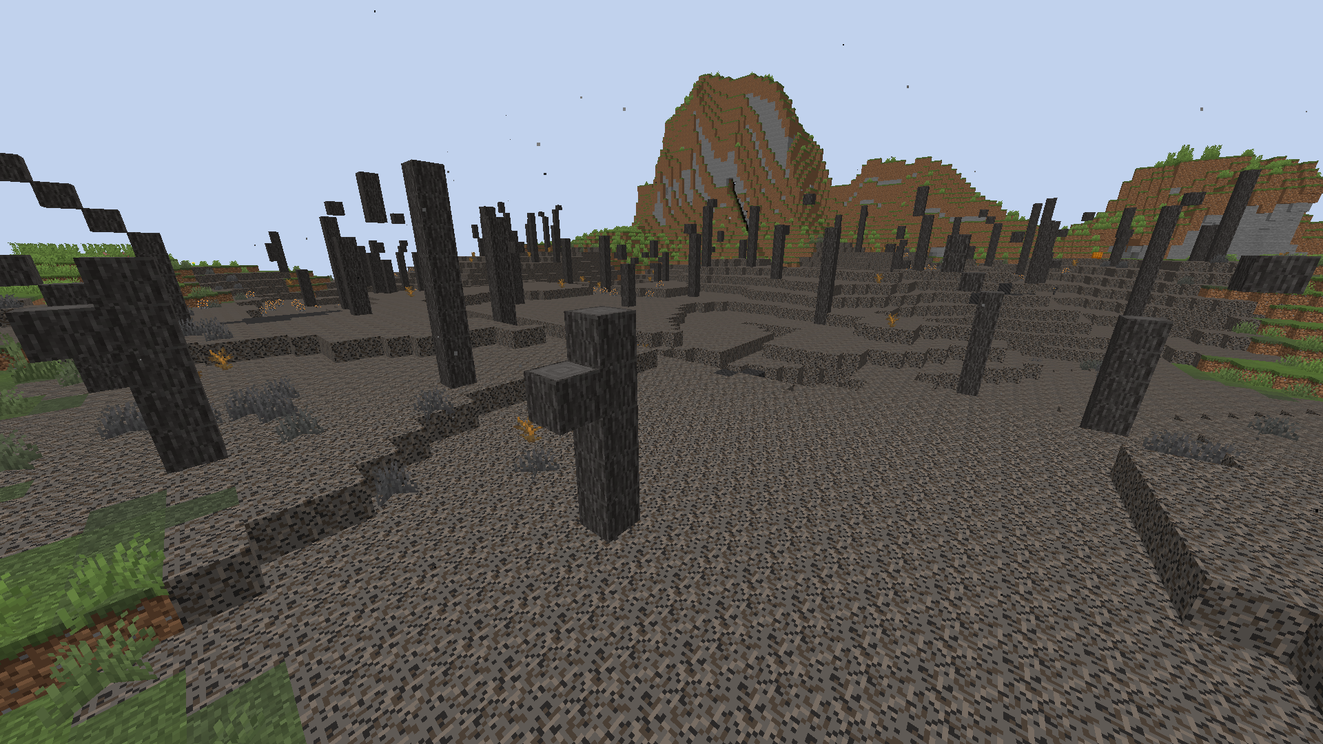 Dead barrens biome