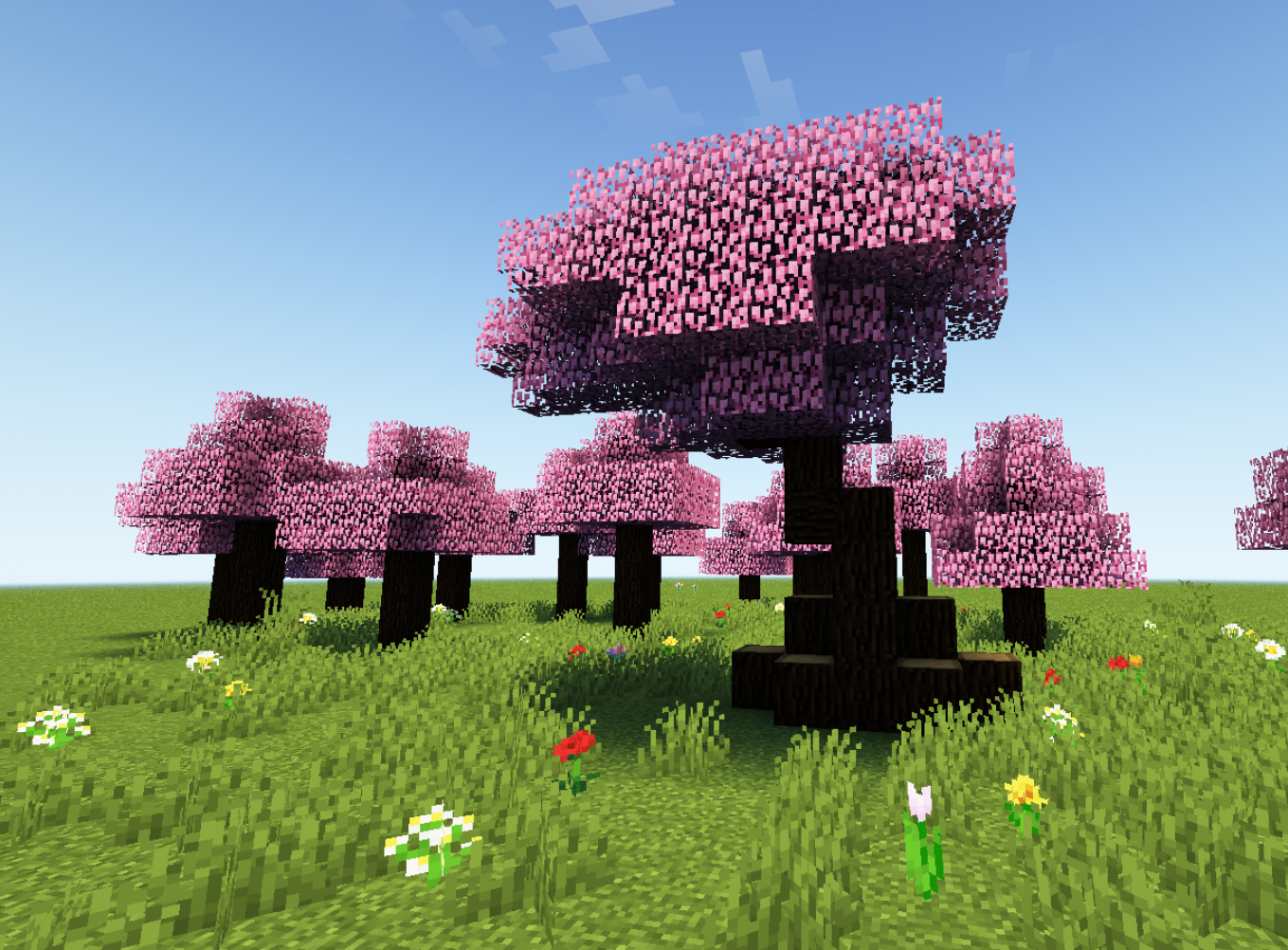 Sakura Trees