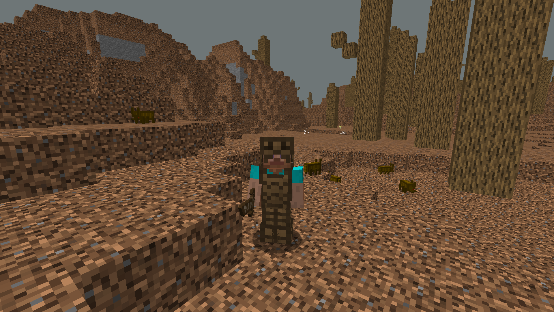 Dry lands biome and rusty chitin armor set