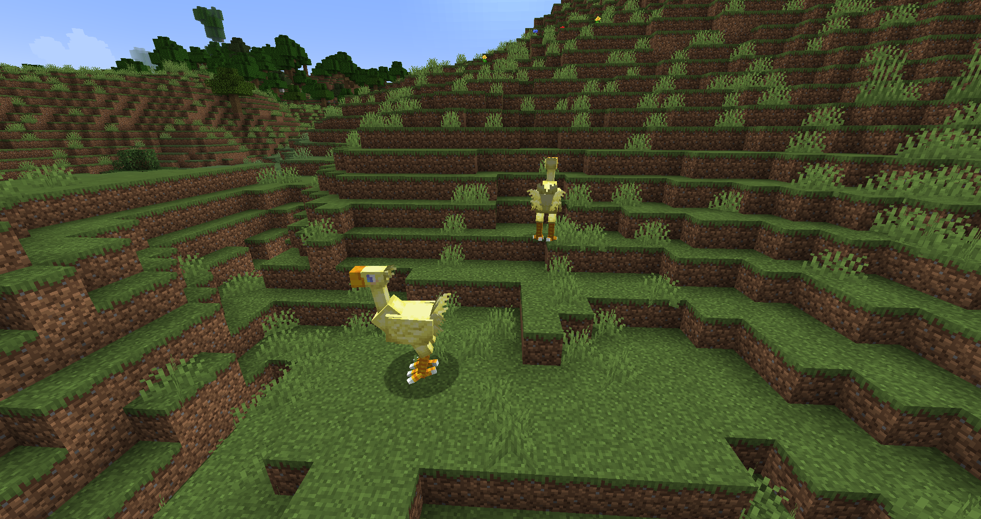 Screenshot of chocobos