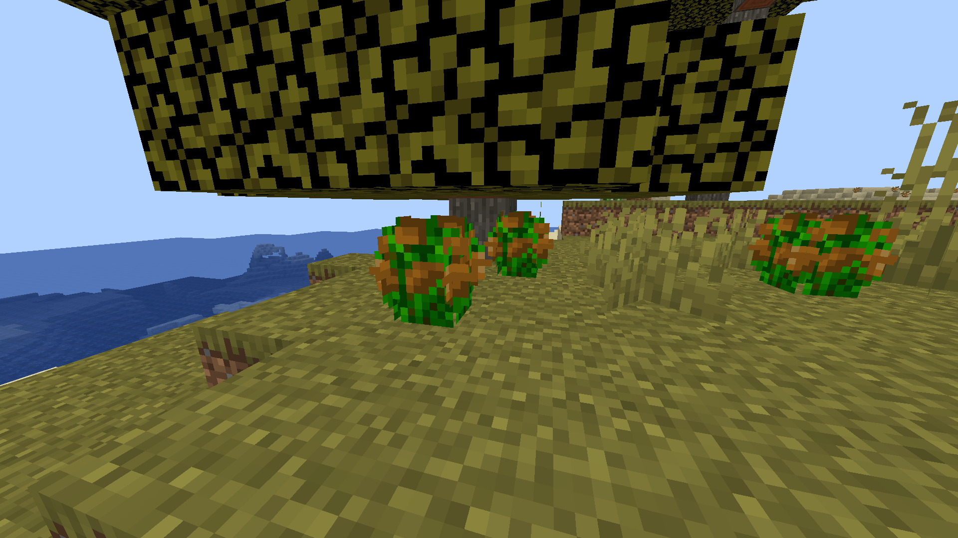 Cone bushes spawn everywhere, and when mined give 4 pine cones, a new food source and crafting material.