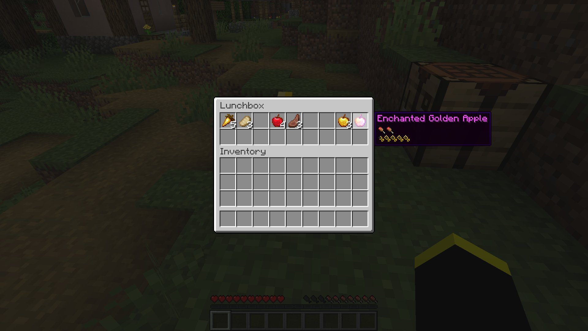 Placed Lunchbox GUI