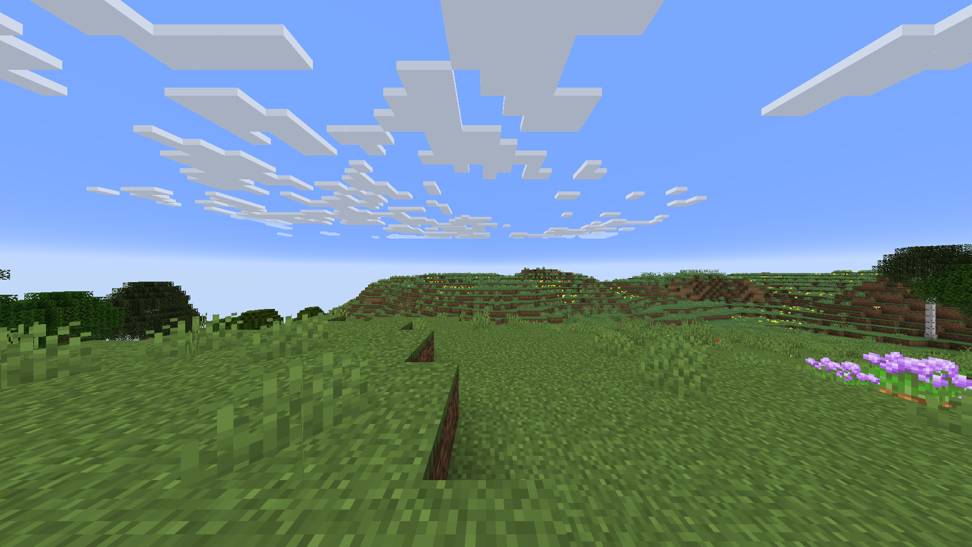 A plains biome with some flowers on the right side.