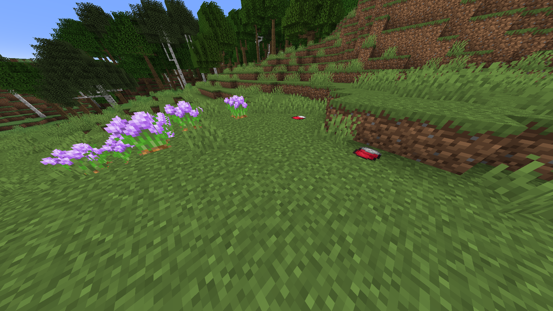 Some flowers with a bit trash are visible on this screenshot.