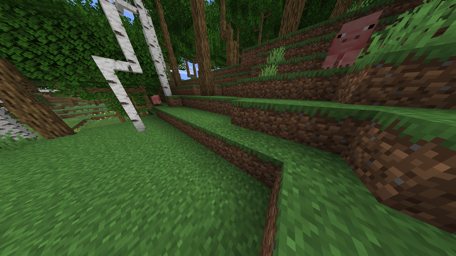 Here are two pigs in a forest. Oink Oink!