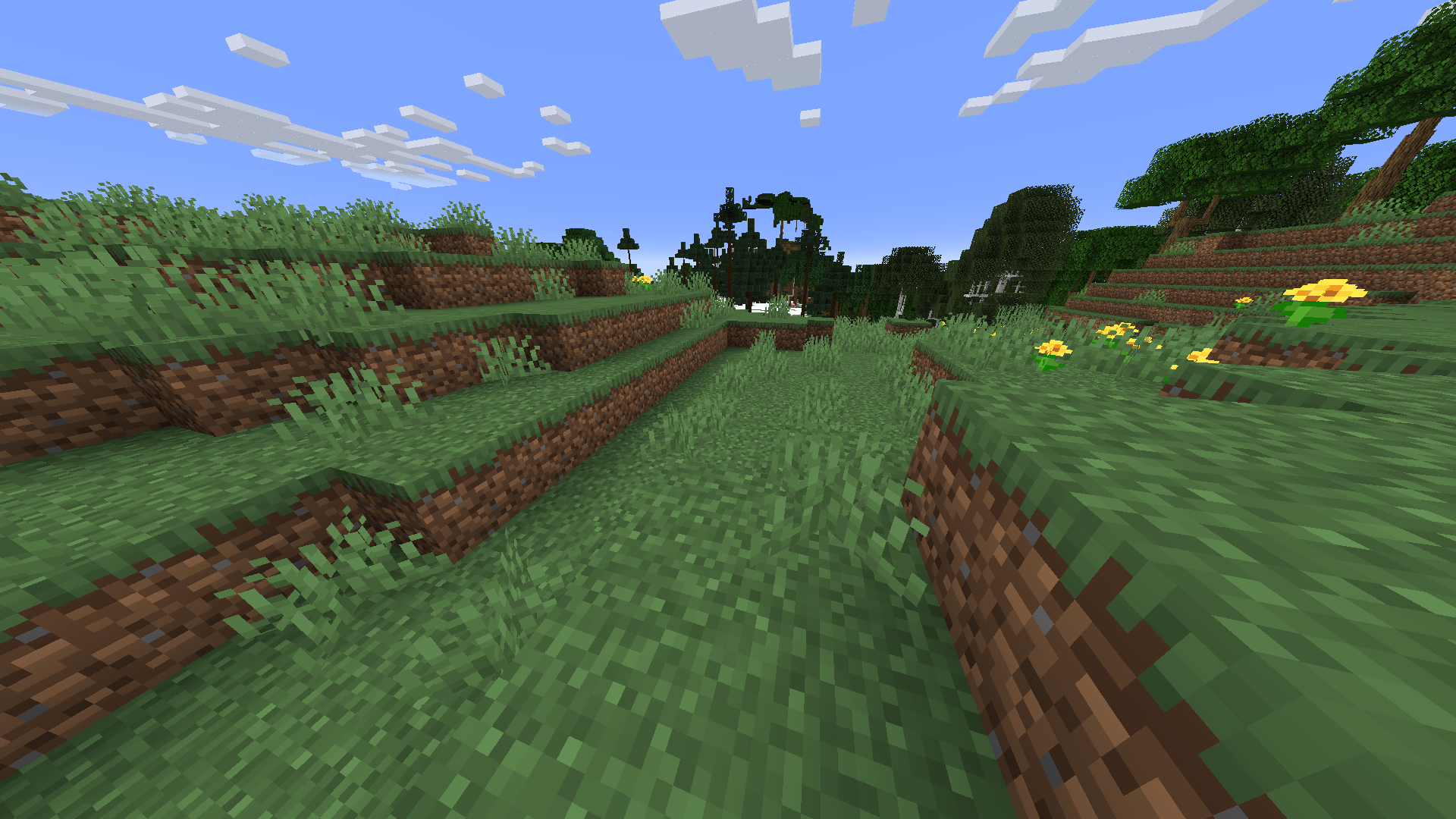 A image of a snowy biome.