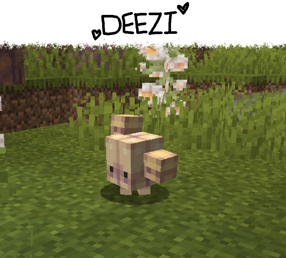 Deezi