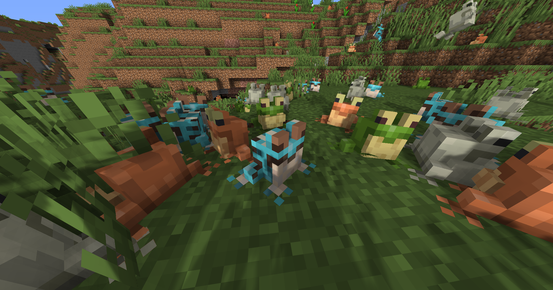 Shiny's Concept Frogs — screenshot 1