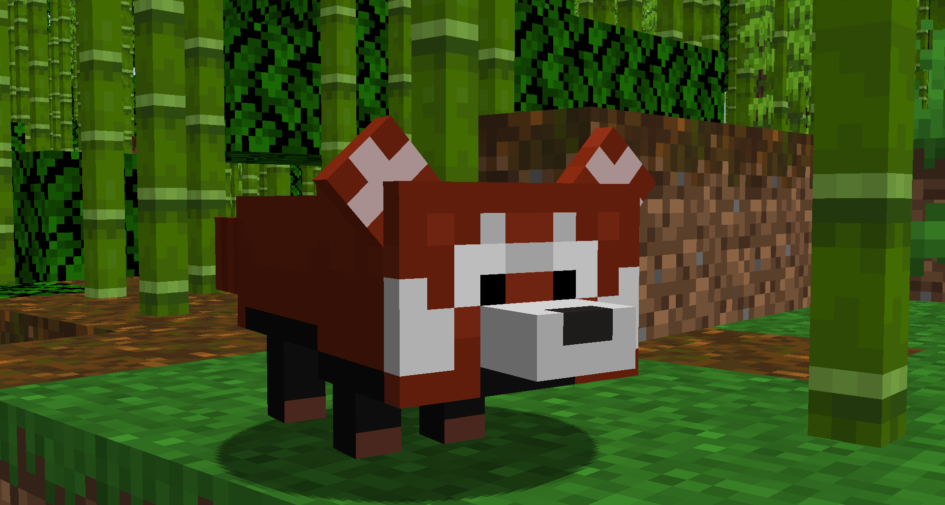 red panda