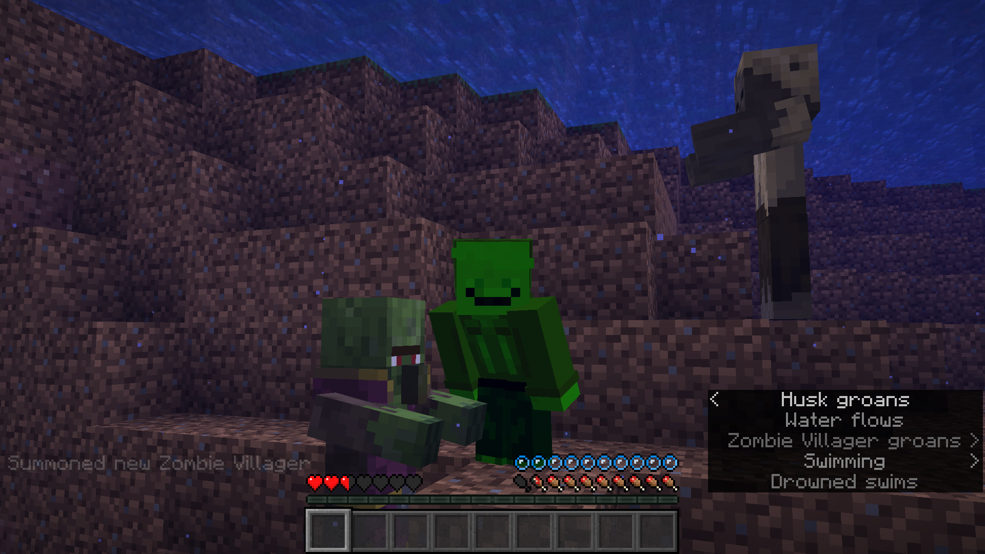 Zombie Villagers Are Nice!