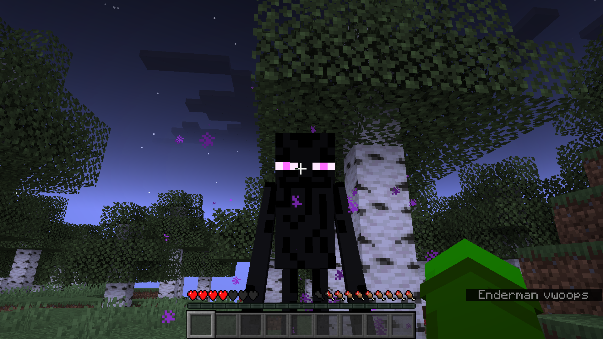 EnderMen Are Just Shy... That's All!