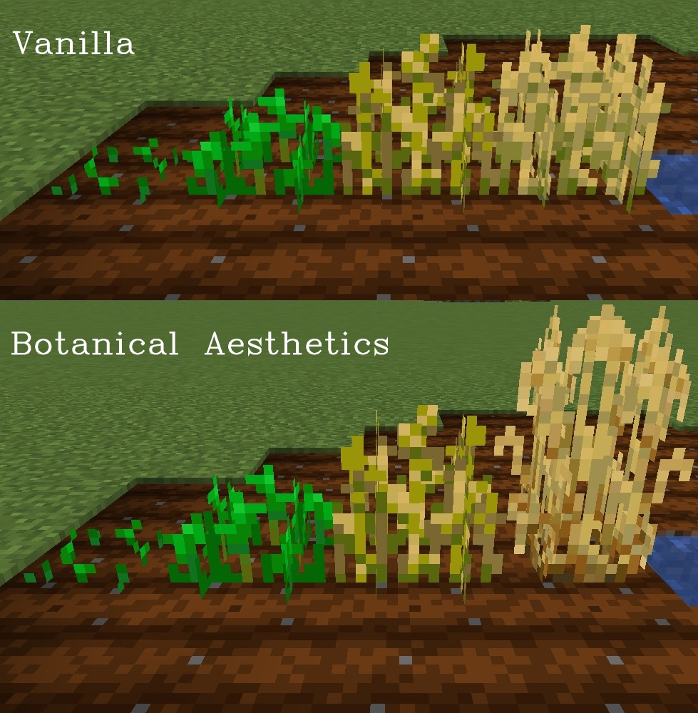 Crops: Wheat Comparison