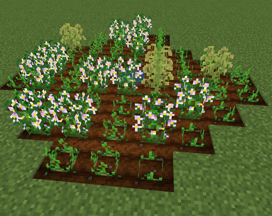 Crops: Potato field