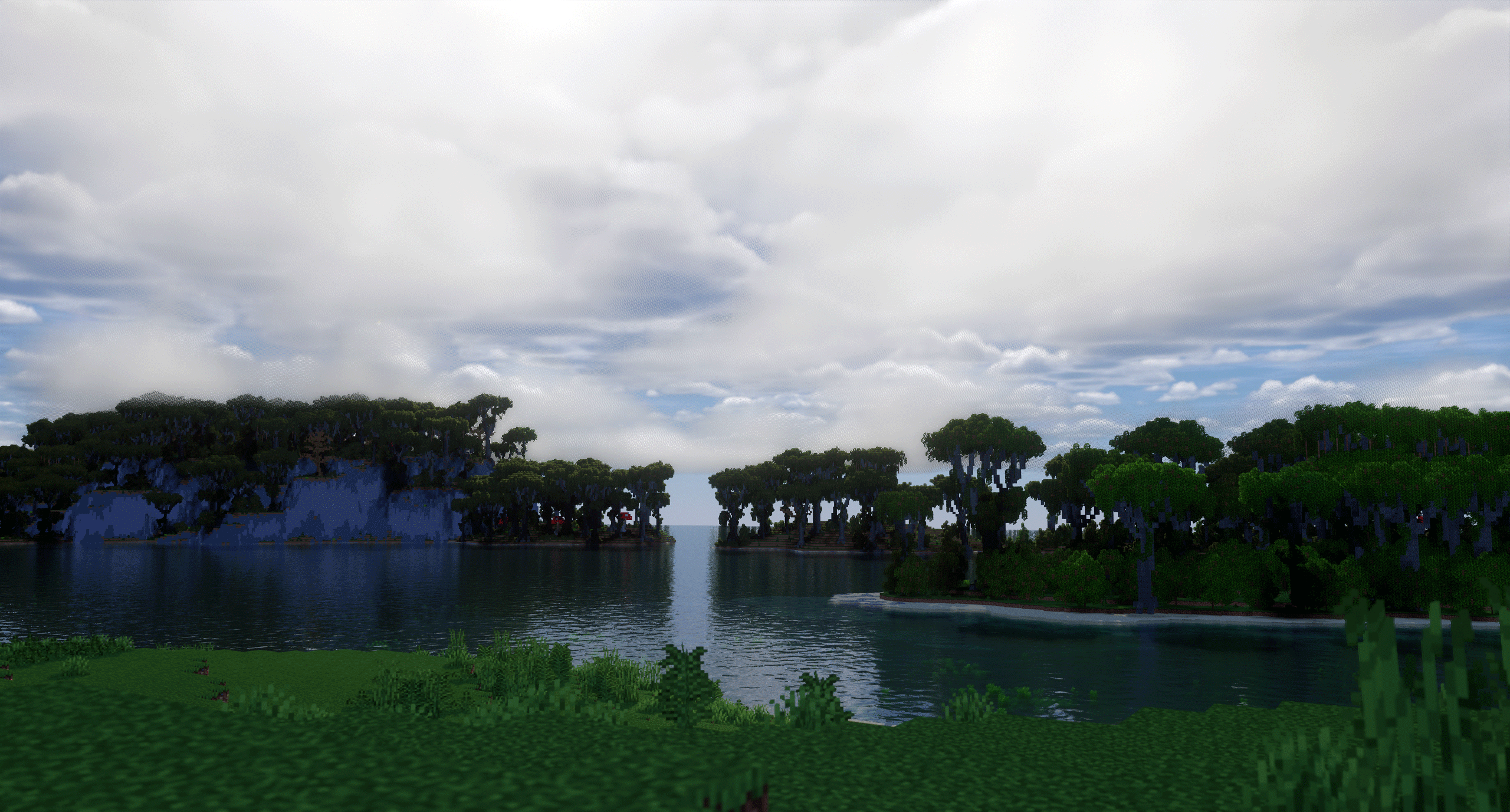 Swamp Forest
