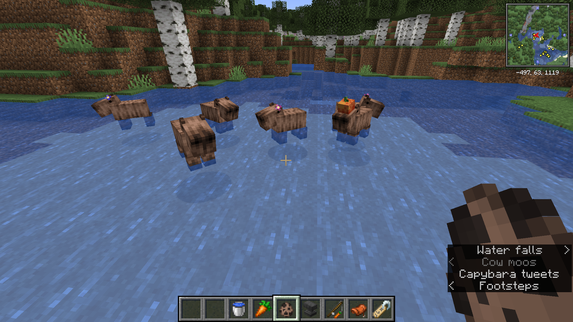 Capybaras in water