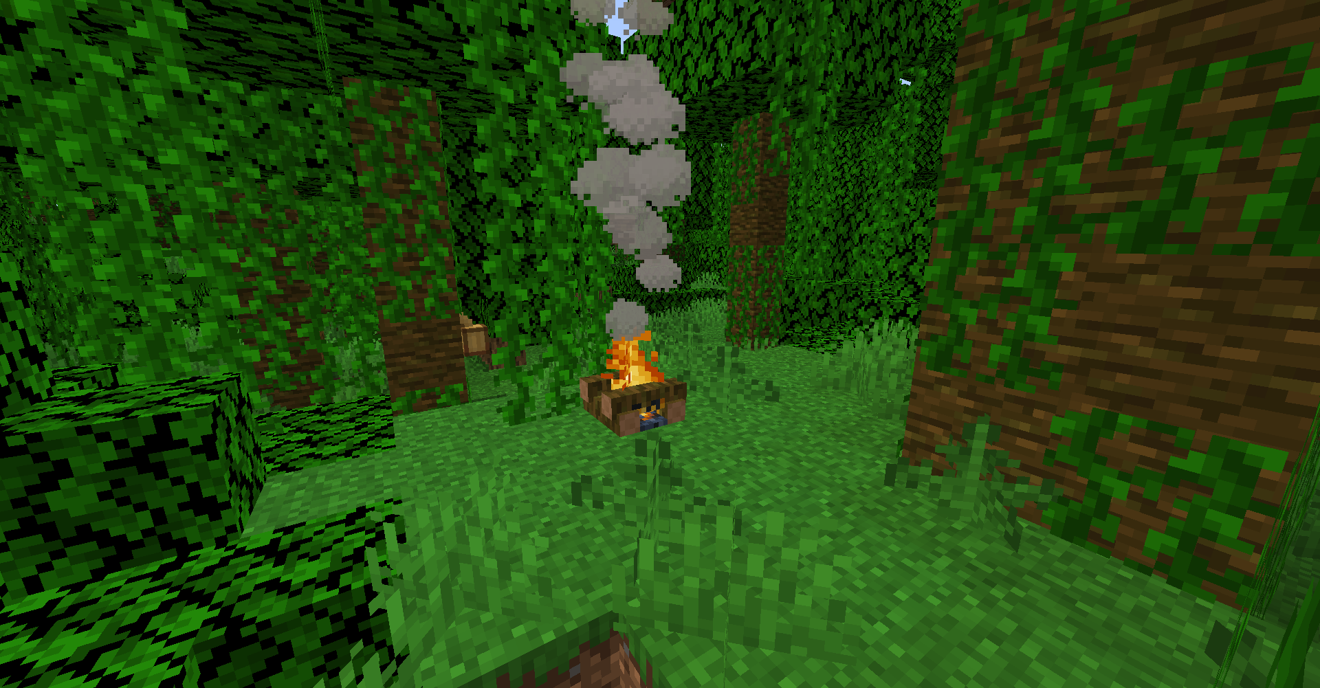 Jungle Campfire!