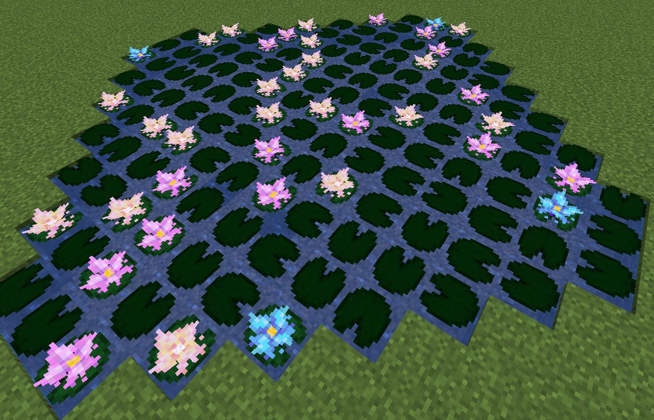 New lily pads