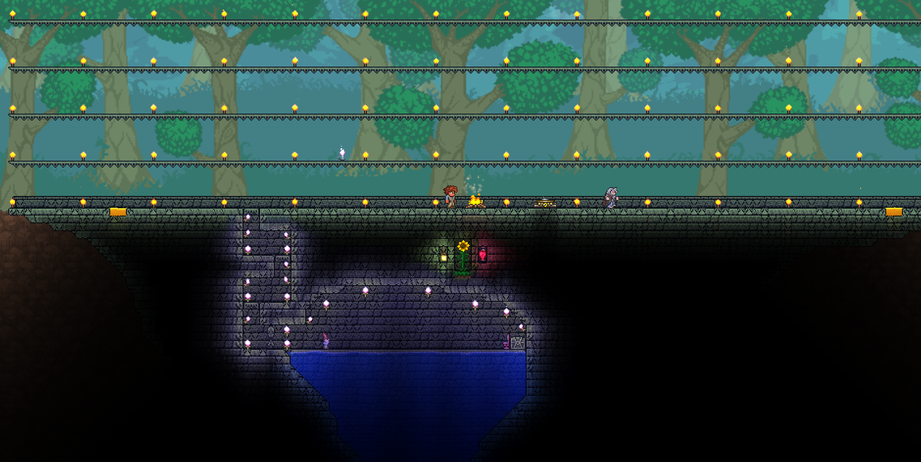 Dungeon Arena and Fishing Spot