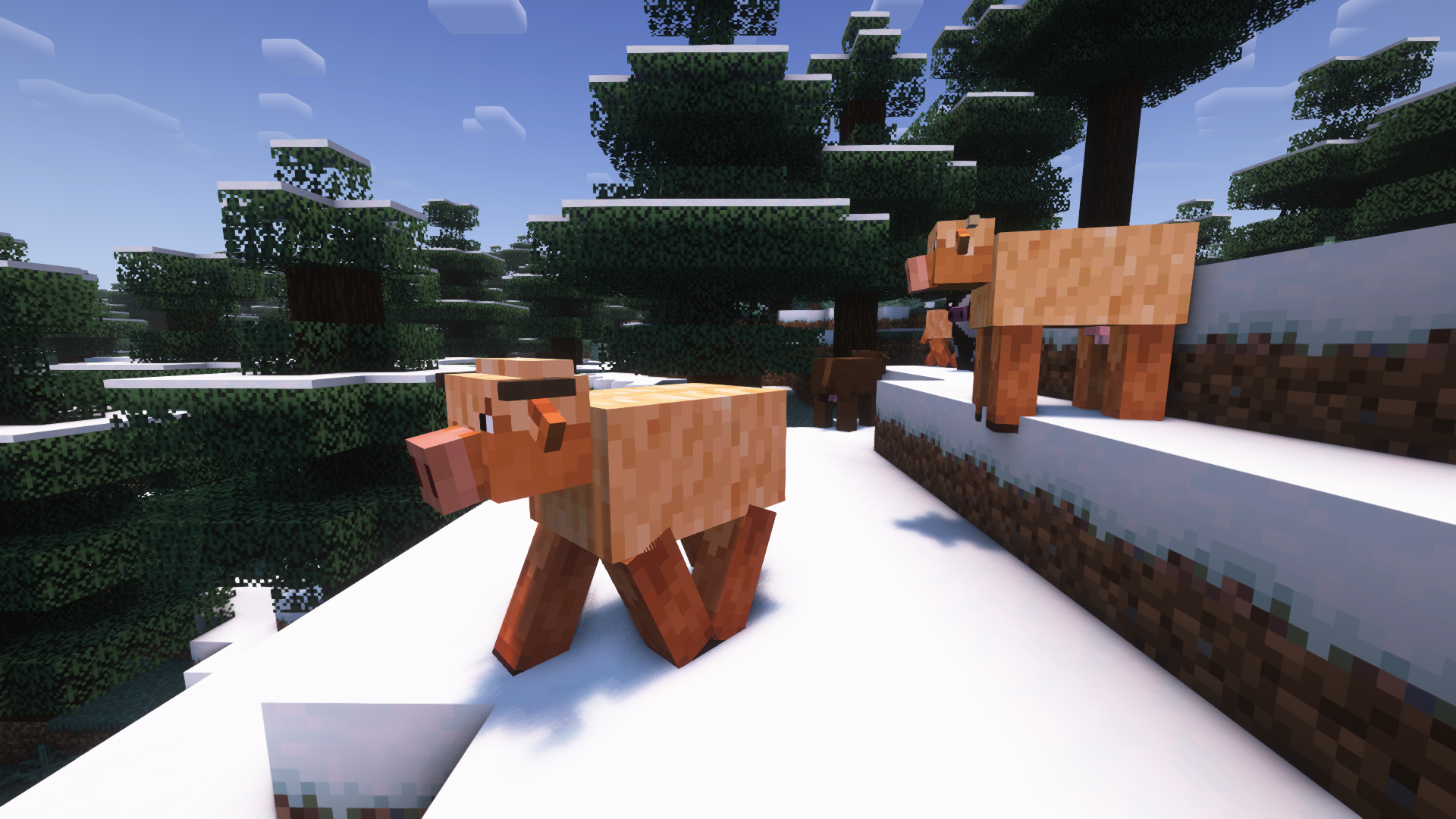 Wooly cows on snowy biomes