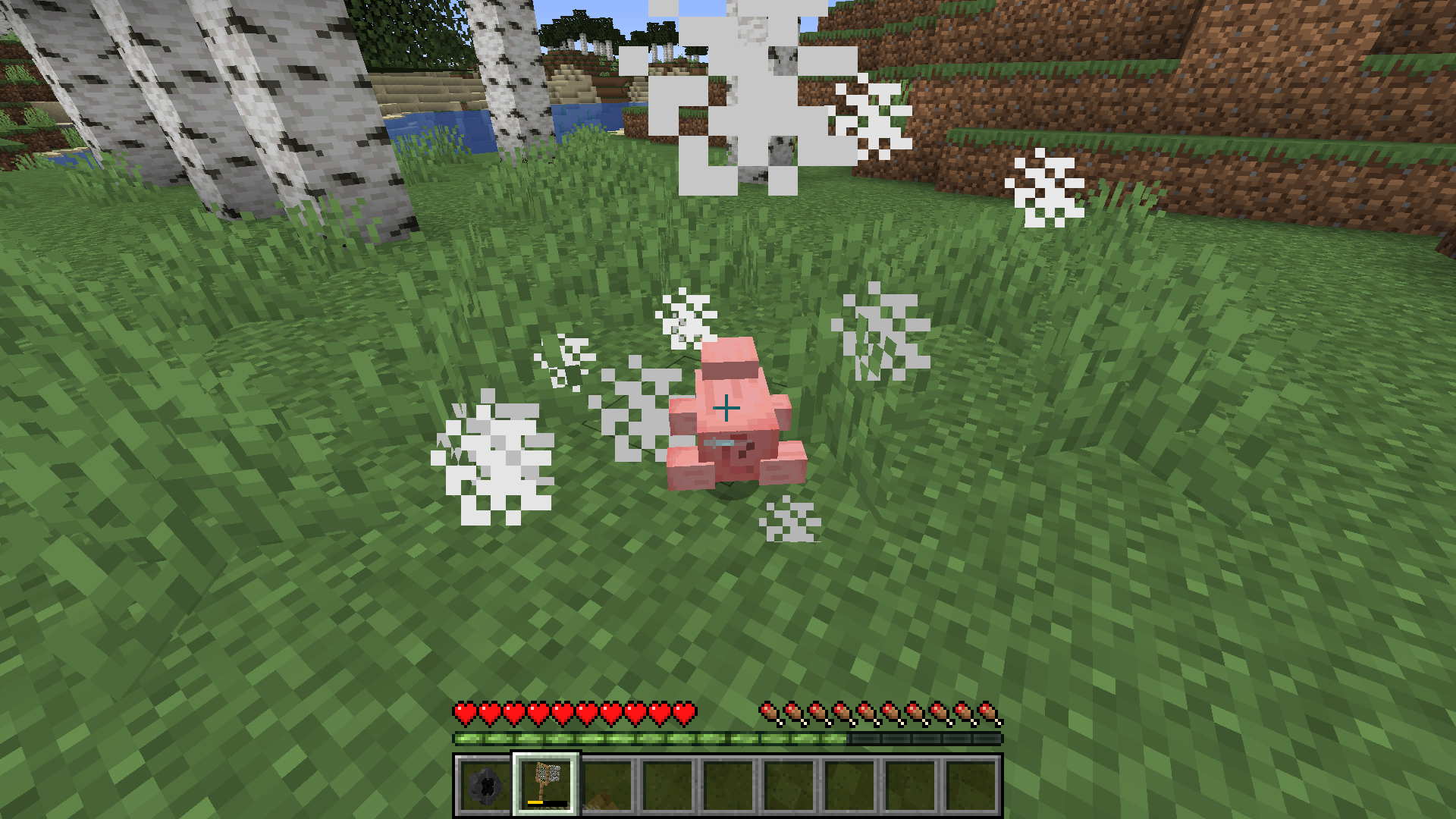 Pig Screenshot 2