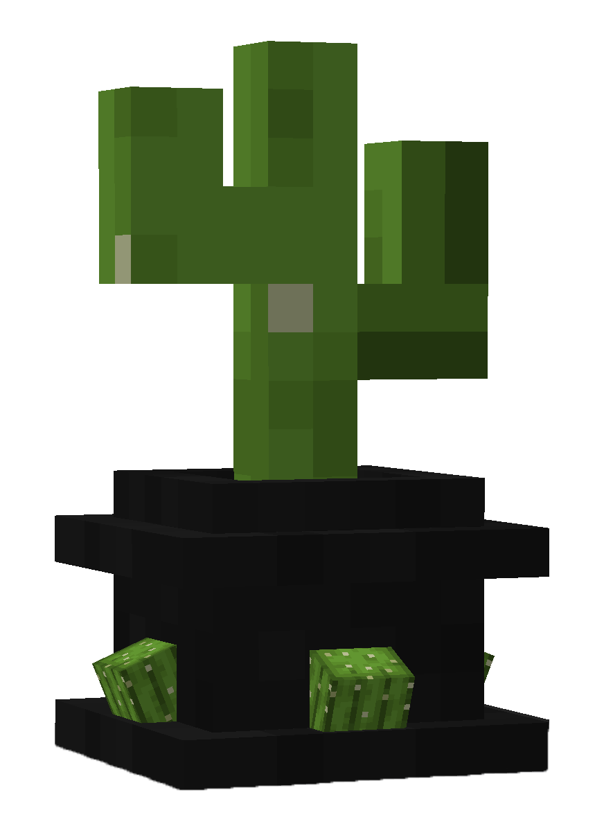 Cactus