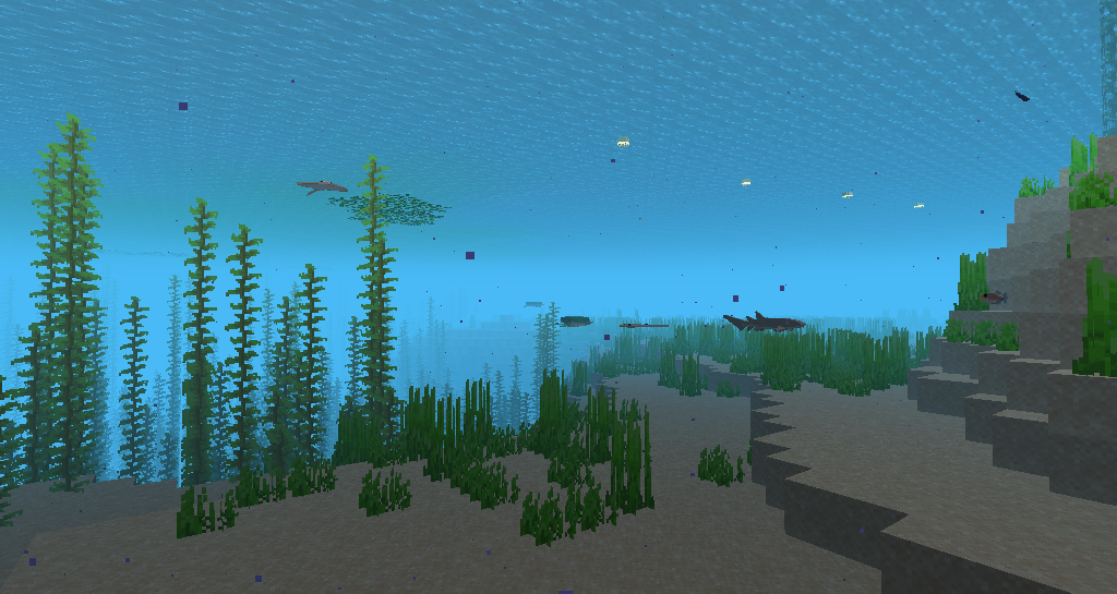 Kelp Forest & Tranquil Archipelago