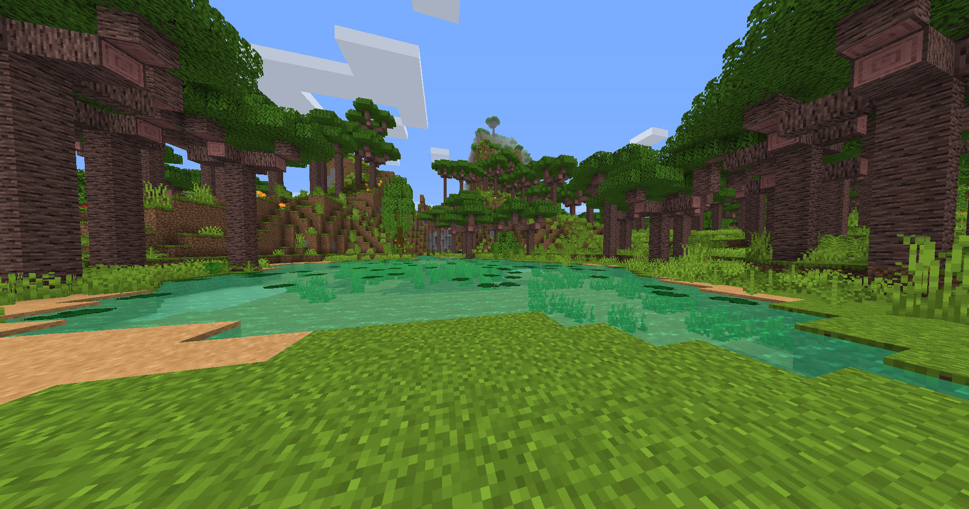Dočky's modpack contains mod Biomes of plenty.