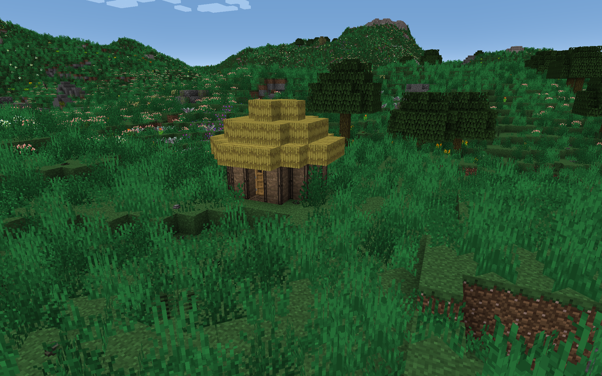 A villager mud hut