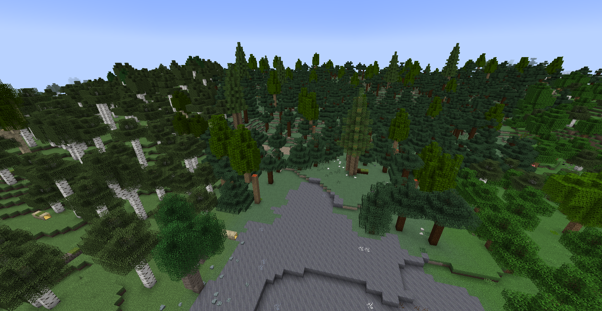 Forest biomes with vegetation