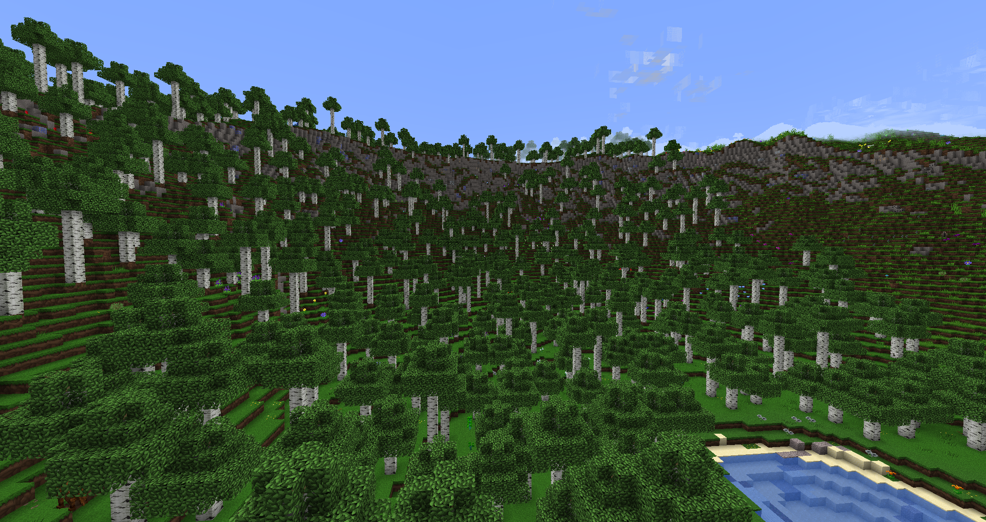 Birch Forest Valley