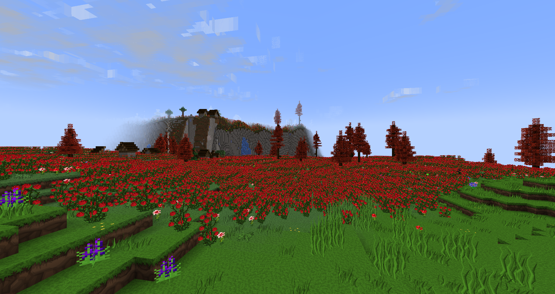 Rose Plains with Red Spruce Trees