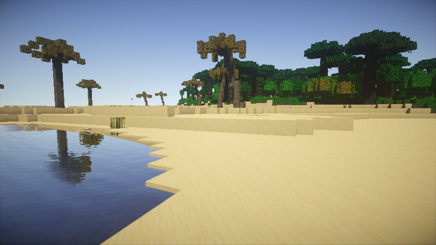 Shaders Beach