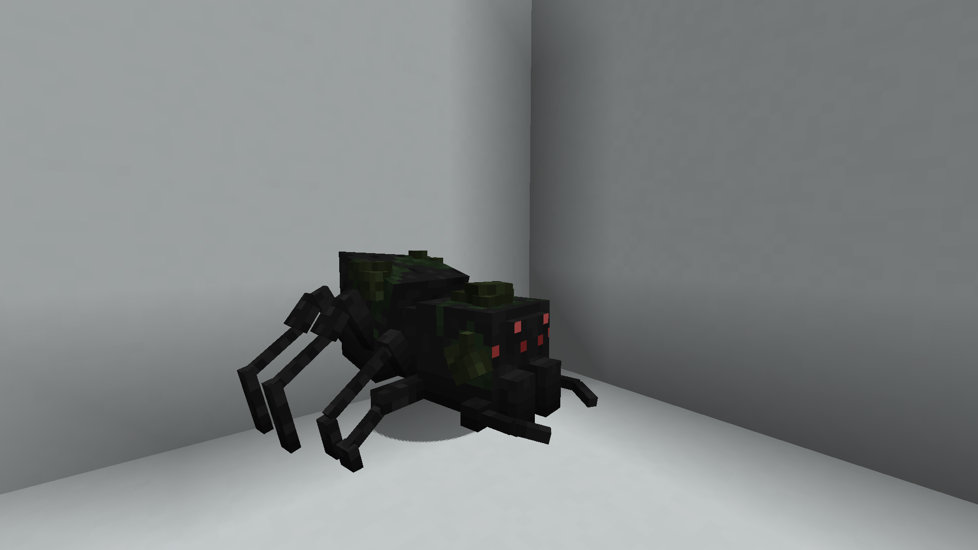 Spider