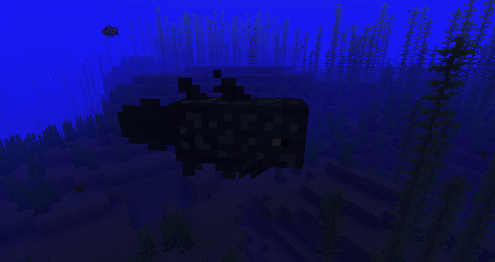 Coelacanth