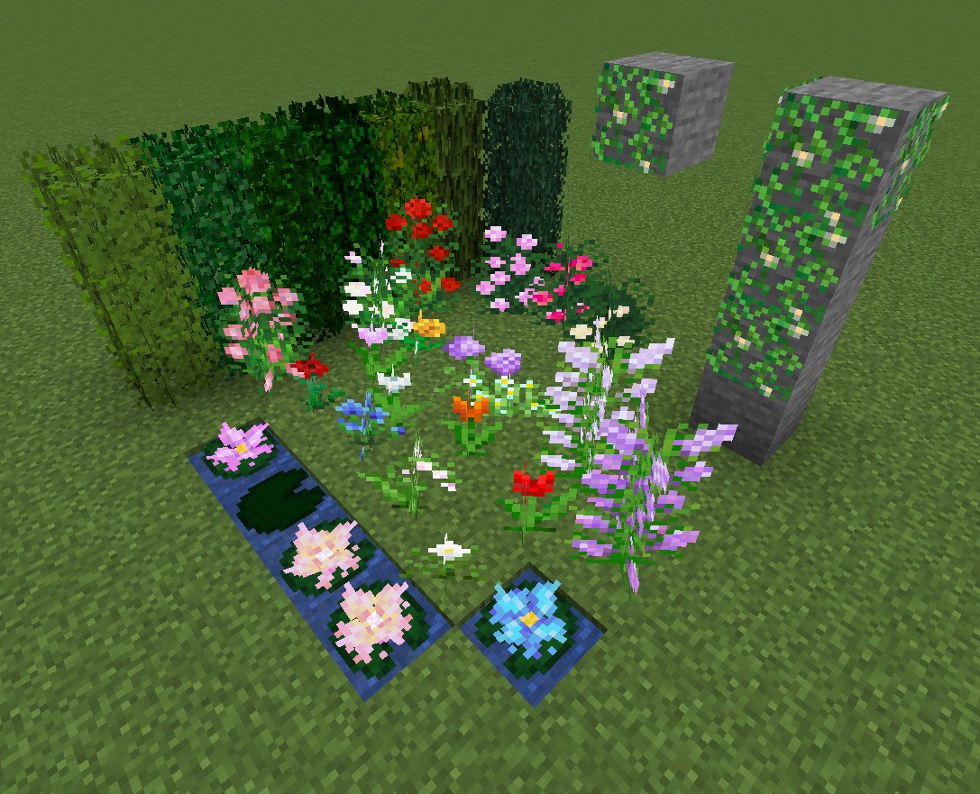 Flora Showcase