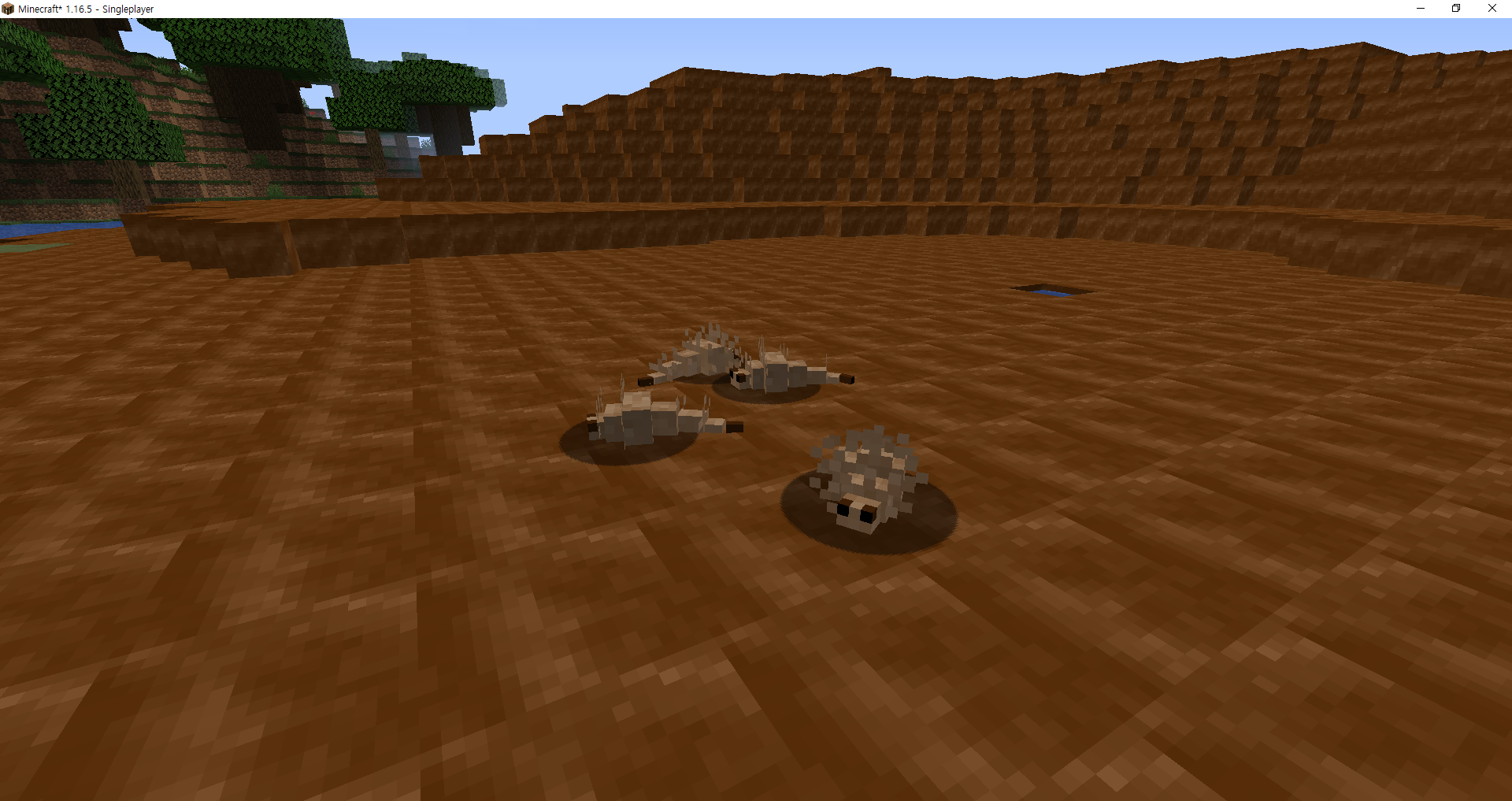Spawn in Muddy Swamp