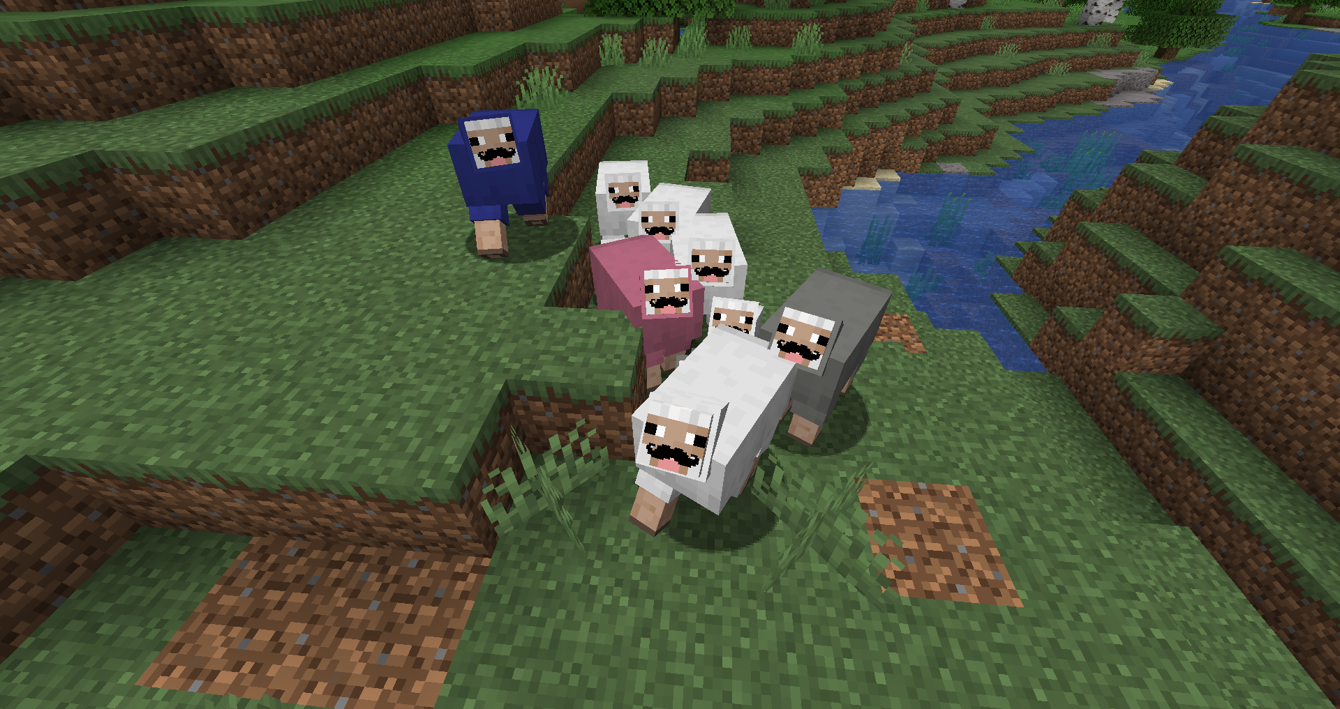 Mustache Sheep