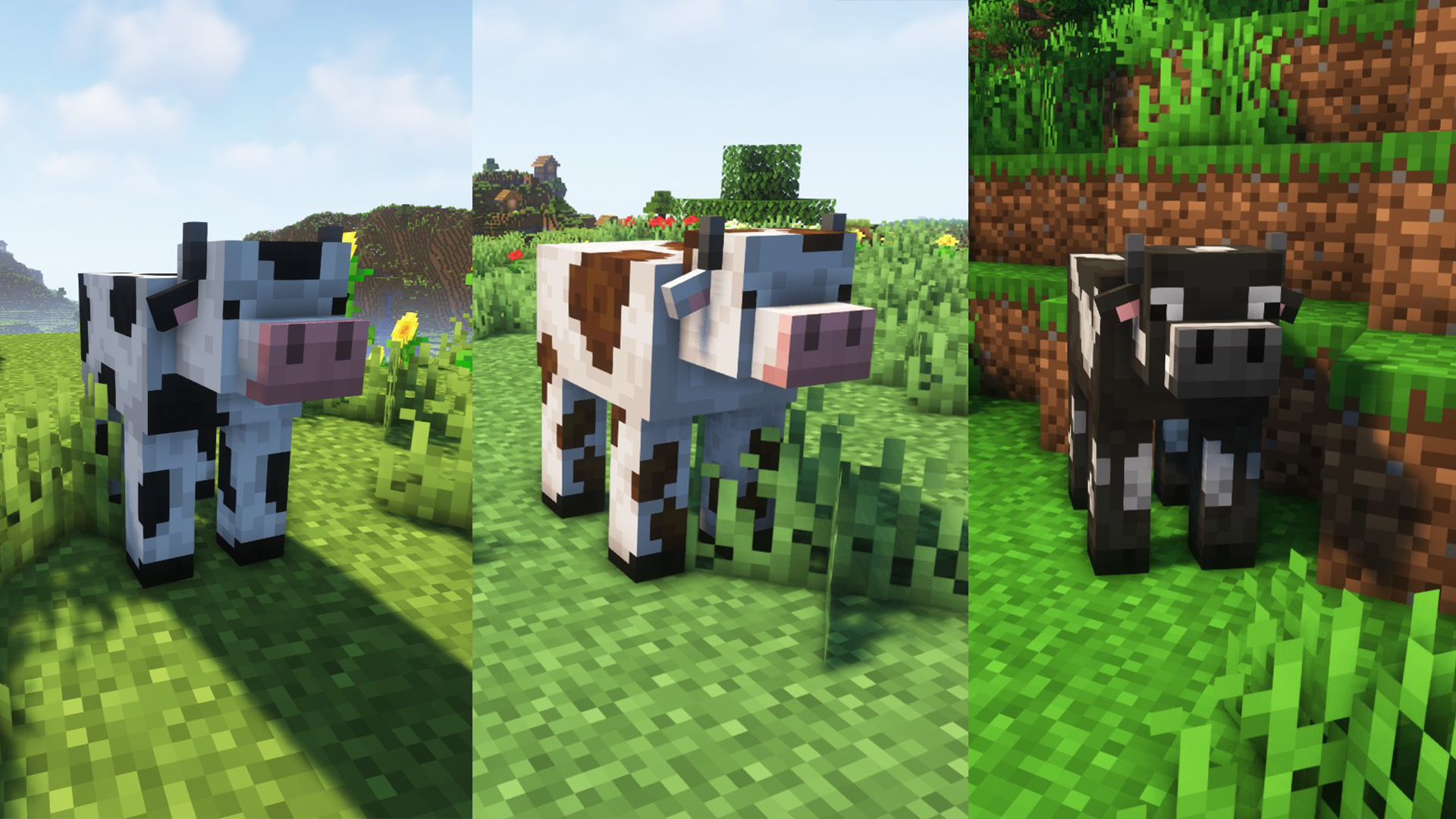  3 variant cows