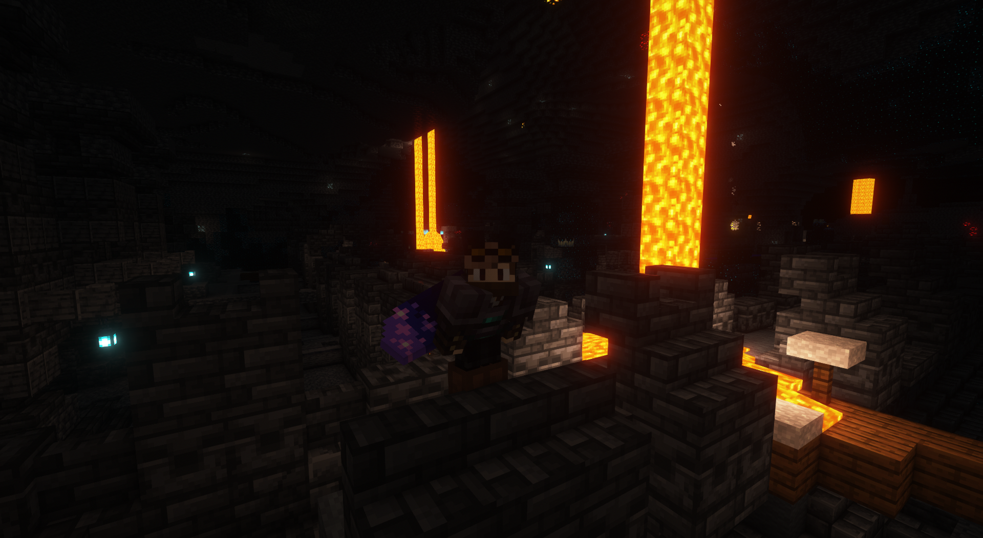 elytra + chesplate