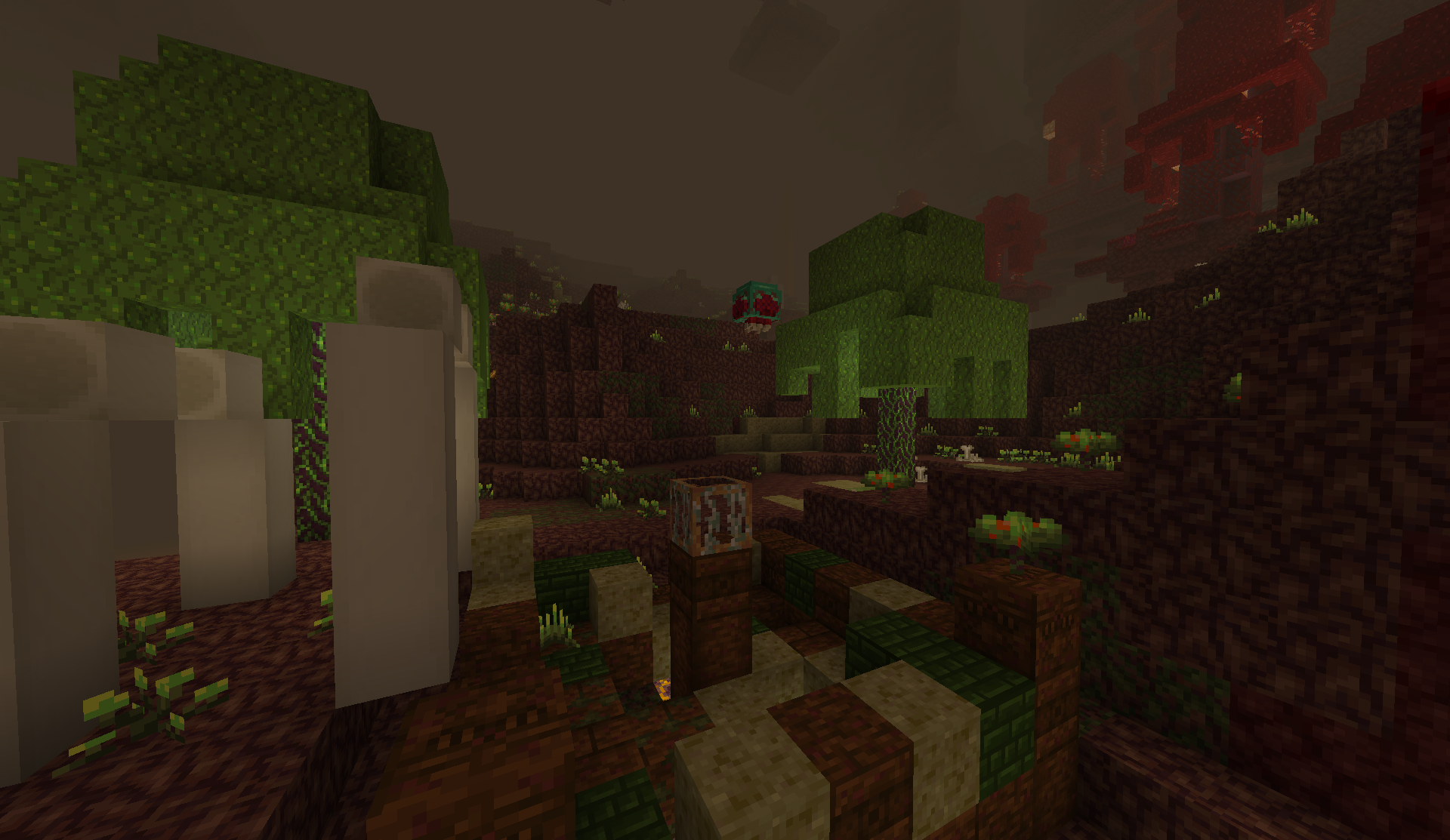 New Nether biomes