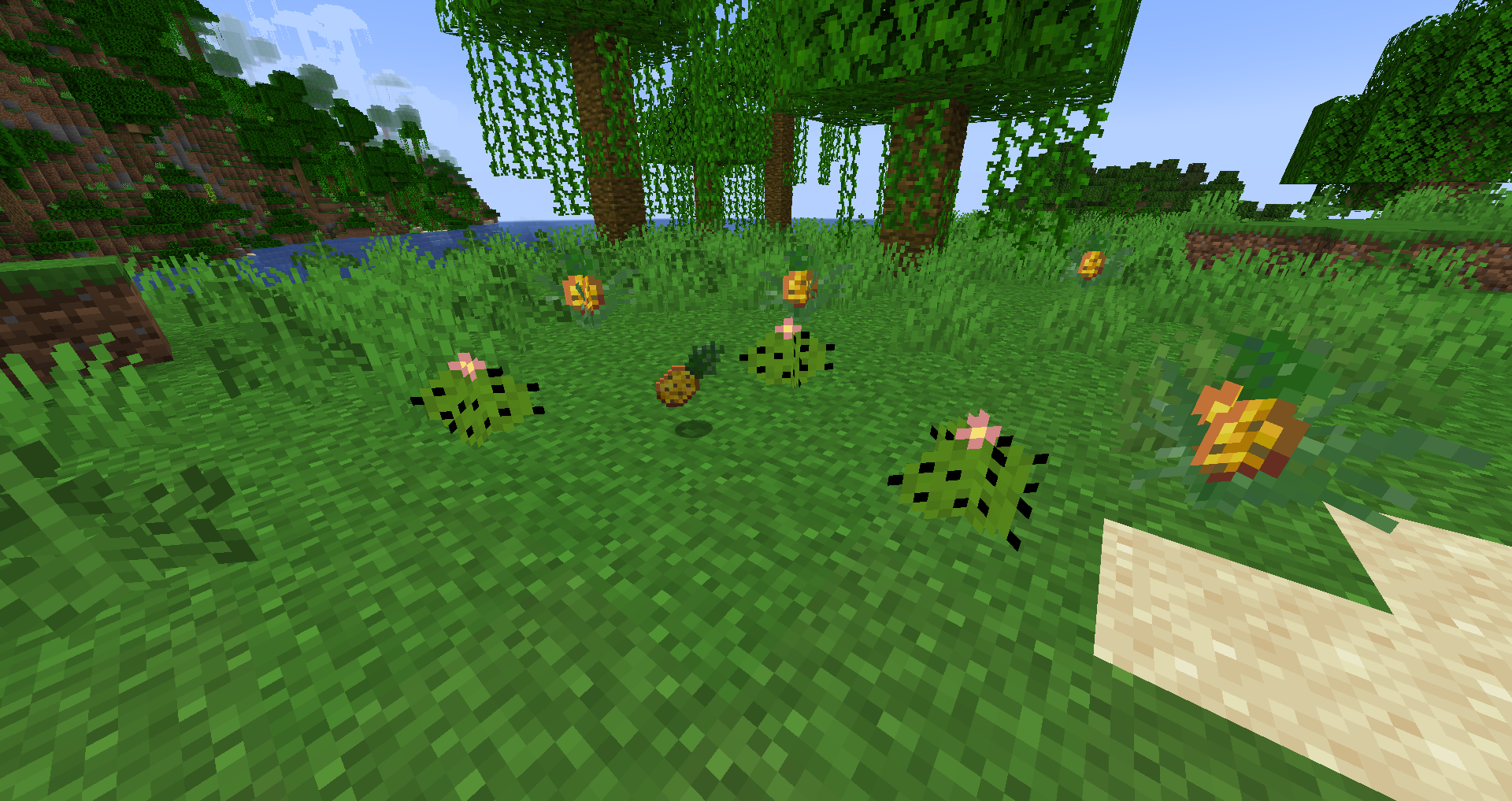 Thumbnail Pineapples are a new crop, and the star cactus is a decorative plant which spawns in deserts, badlands, and sparse jungle.