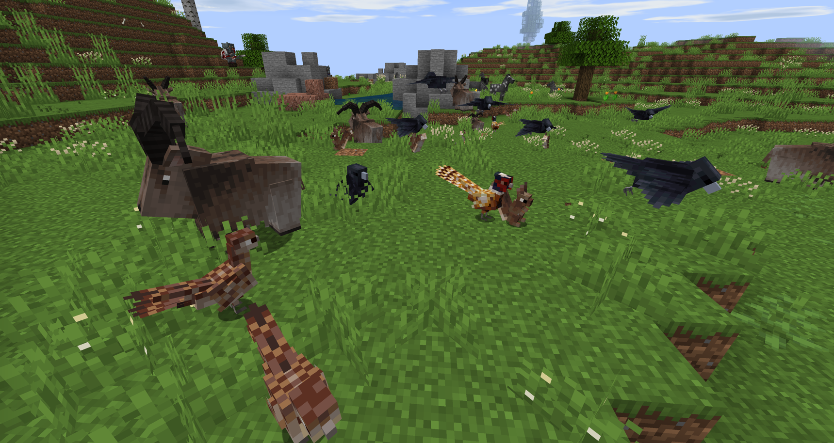 New animals