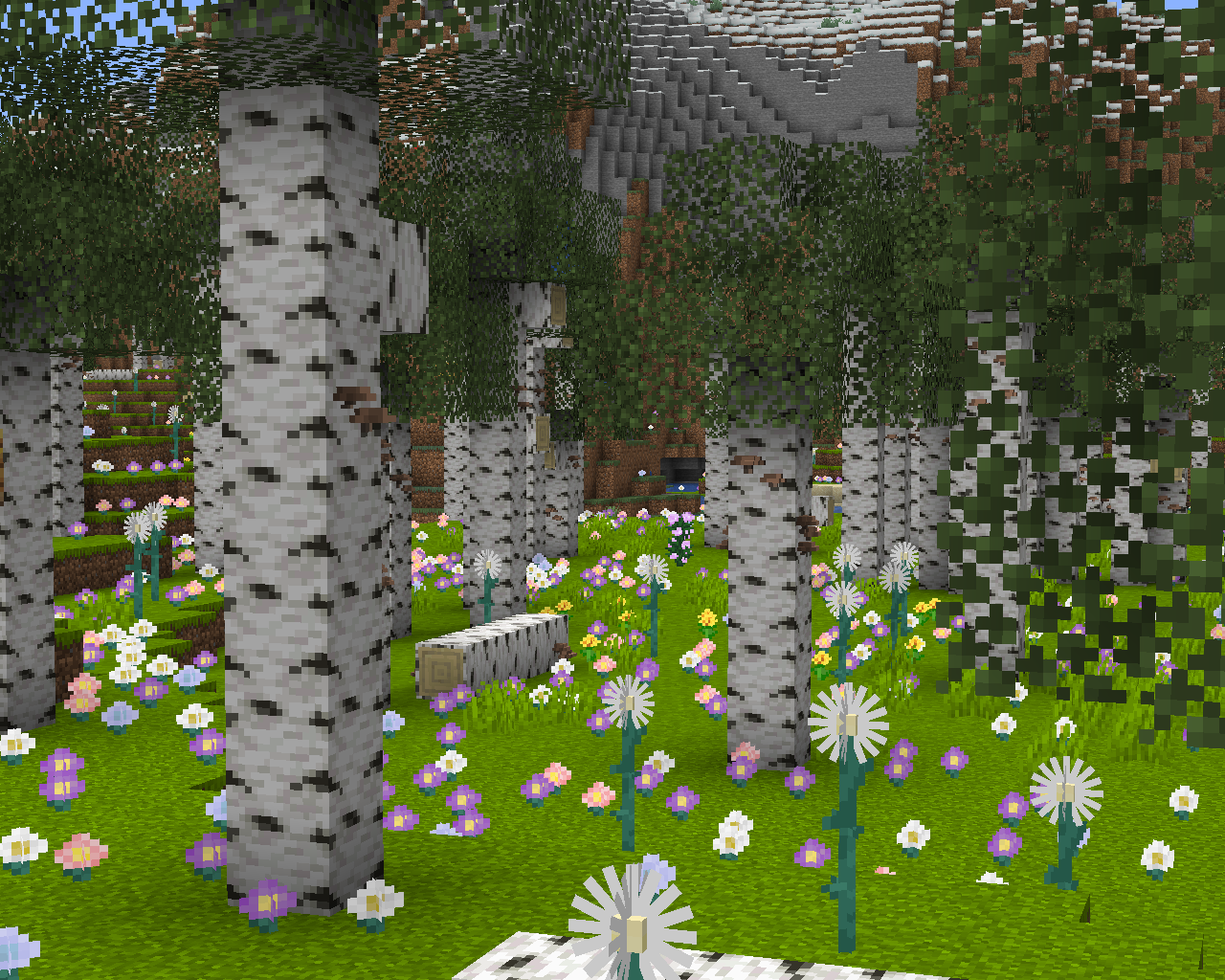 The Tall Birch Flower Forest