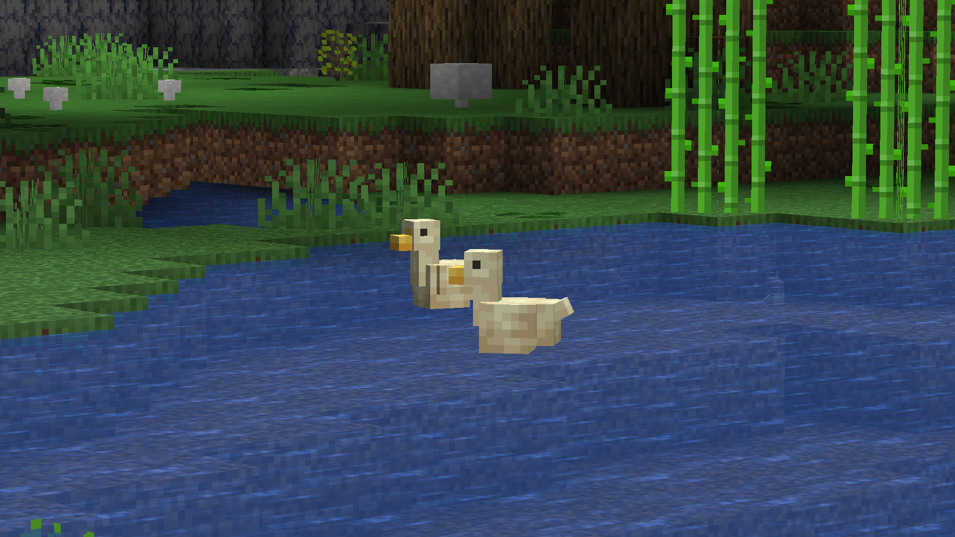 Some Ducks